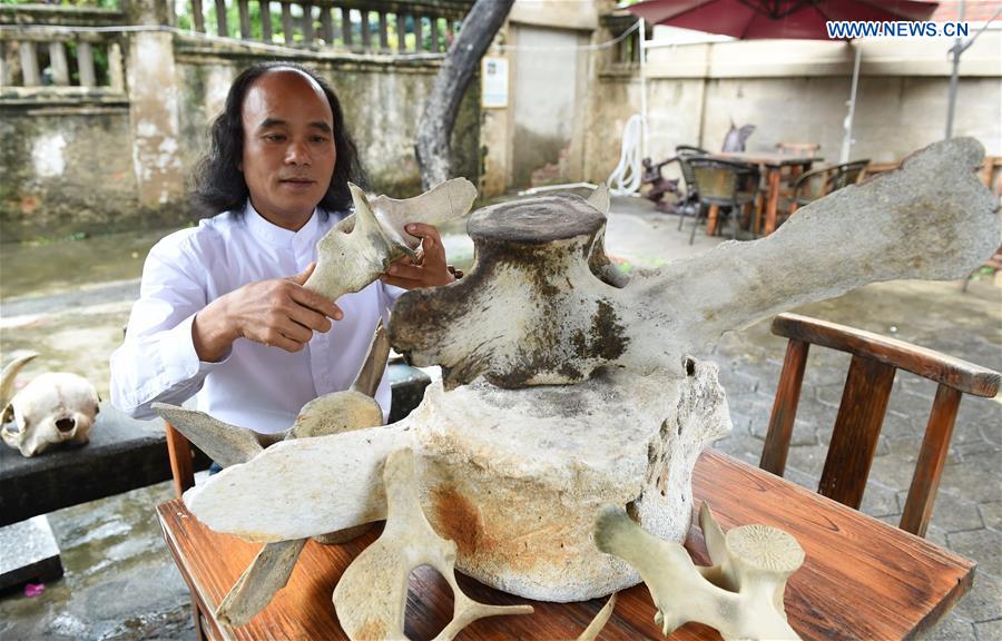 Artista chinês cria pinturas com espinhas de peixe