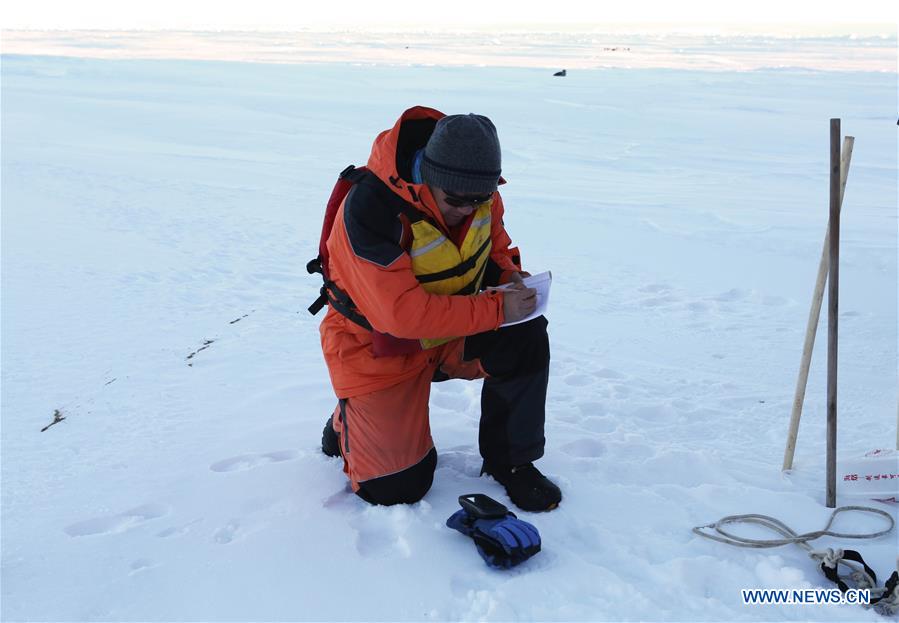 Navio de pesquisa Xuelong na 33ª expedição antártica