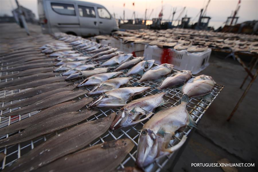 Peixes secos no porto de Gangdong de Shandong