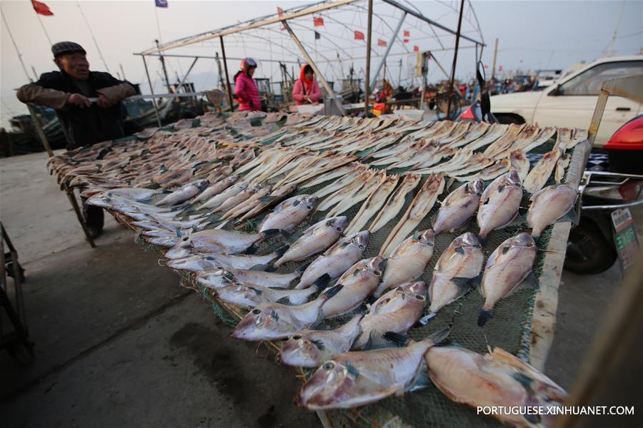 Peixes secos no porto de Gangdong de Shandong