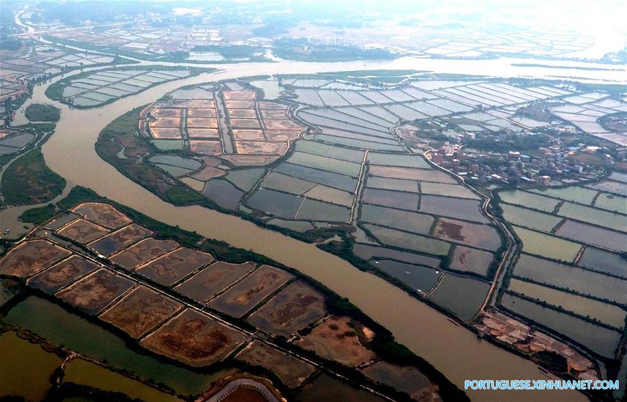 Viveiros de camarão ao longo do rio Qinjiang no sul da China