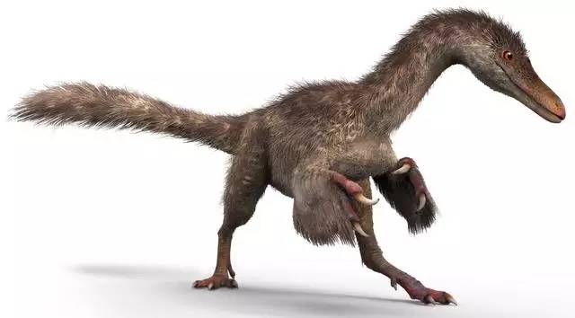 Cauda de dinossauro conservada em âmbar encontrada por cientistas chineses e estrangeiros