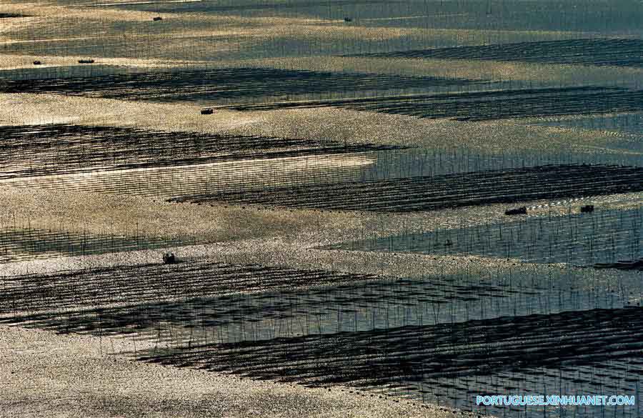 Linda paisagem ao pôr do sol de uma fazenda de alga marinha em Fujian