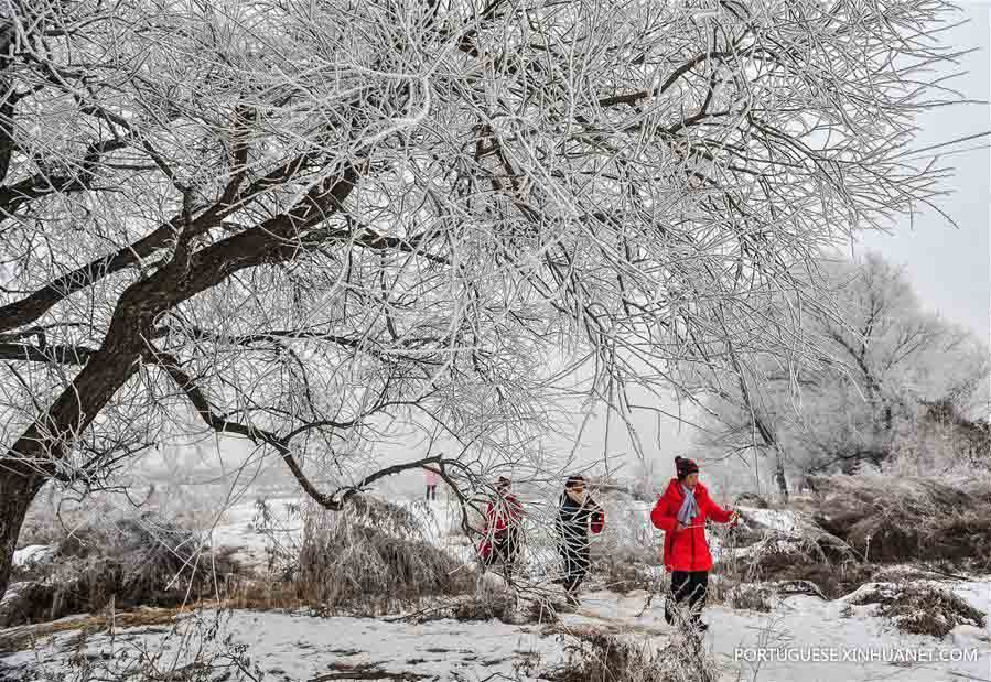 Paisagem de sincelo em Jilin no nordeste da China