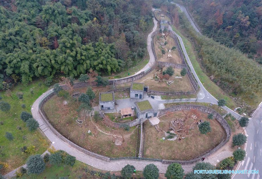 Casa de repouso para pandas idosos em Sichuan