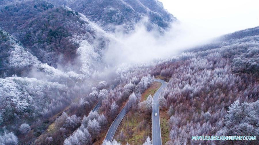 Floresta coberta de neve na região de Shennongjia em Hubei