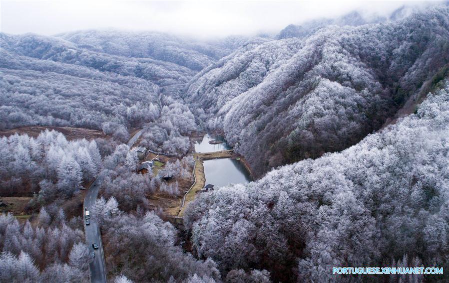 Floresta coberta de neve na região de Shennongjia em Hubei