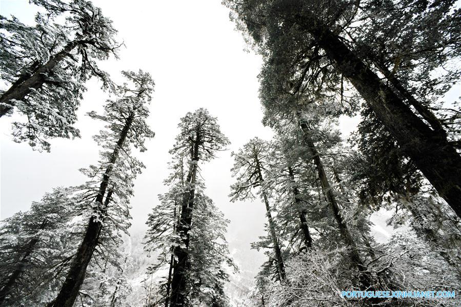 Paisagem de inverno na região sudeste do Tibete