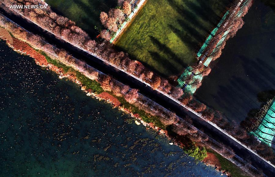 Caminhos verdes atravessam o Lago Donghu no centro da China