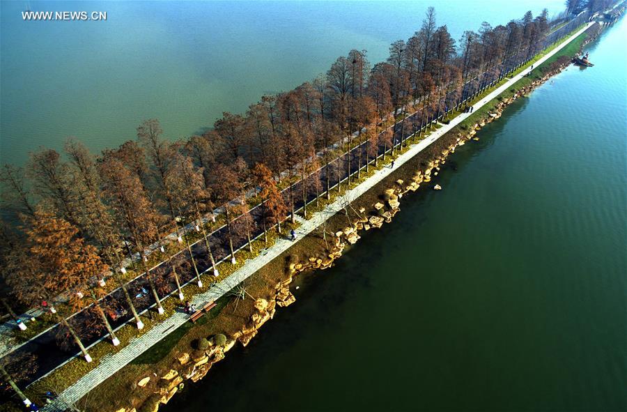 Caminhos verdes atravessam o Lago Donghu no centro da China