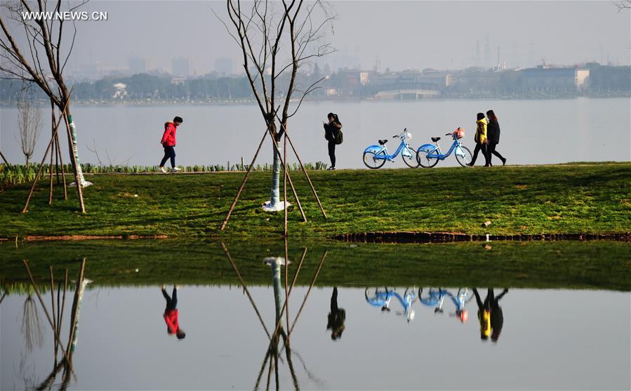 Caminhos verdes atravessam o Lago Donghu no centro da China