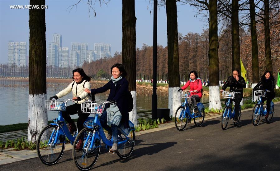 Caminhos verdes atravessam o Lago Donghu no centro da China