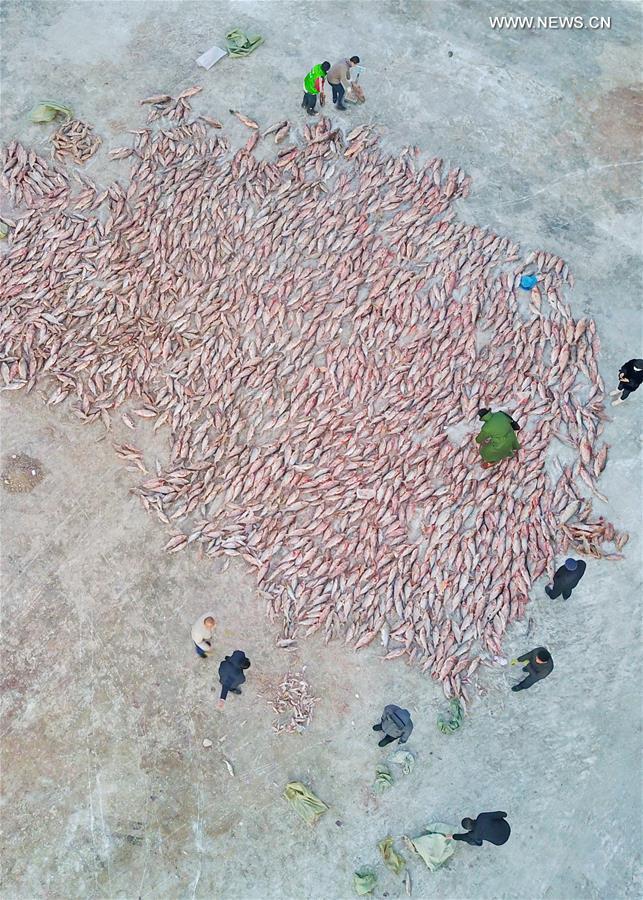 Época de pesca de inverno iniciada com celebrações no nordeste da China