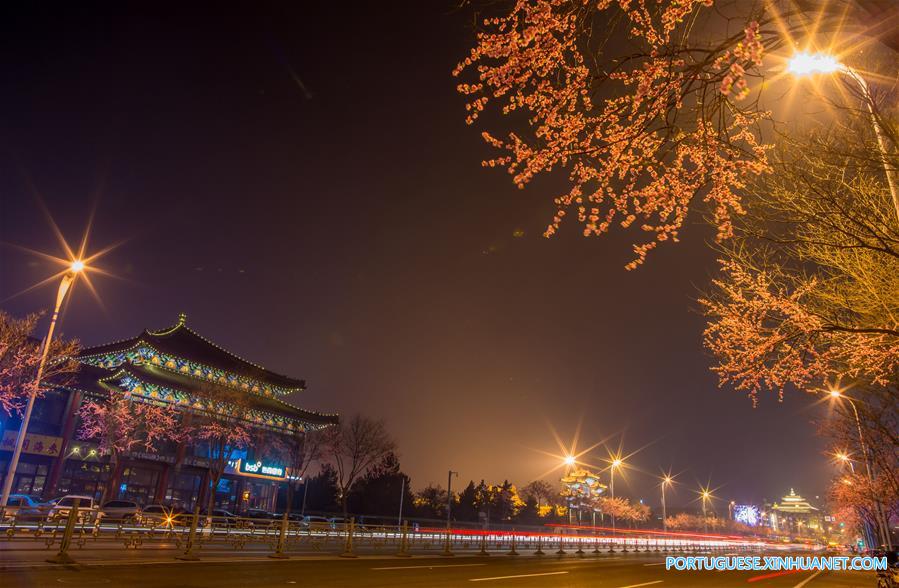 Luzes anunciam a chegada do próximo Festival da Primavera em Hohhot