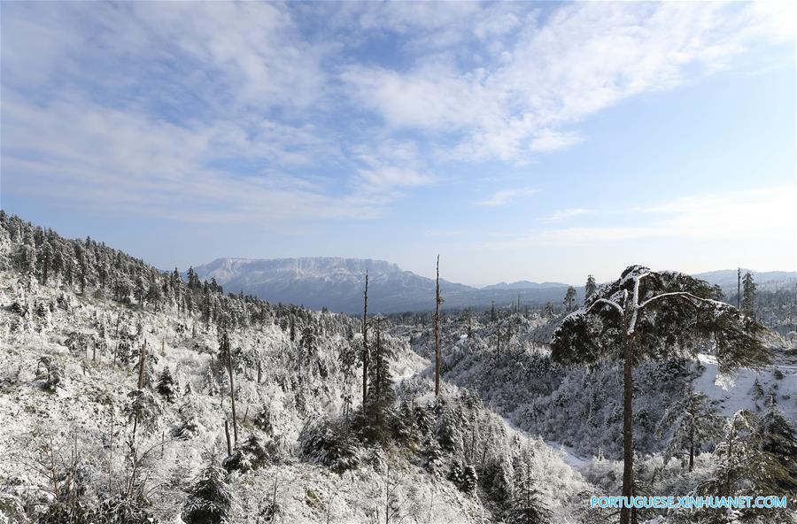 Paisagem coberta de neve no Parque Florestal Nacional de Longcanggou no sudoeste da China