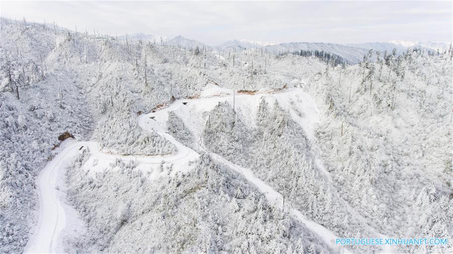 Paisagem coberta de neve no Parque Florestal Nacional de Longcanggou no sudoeste da China