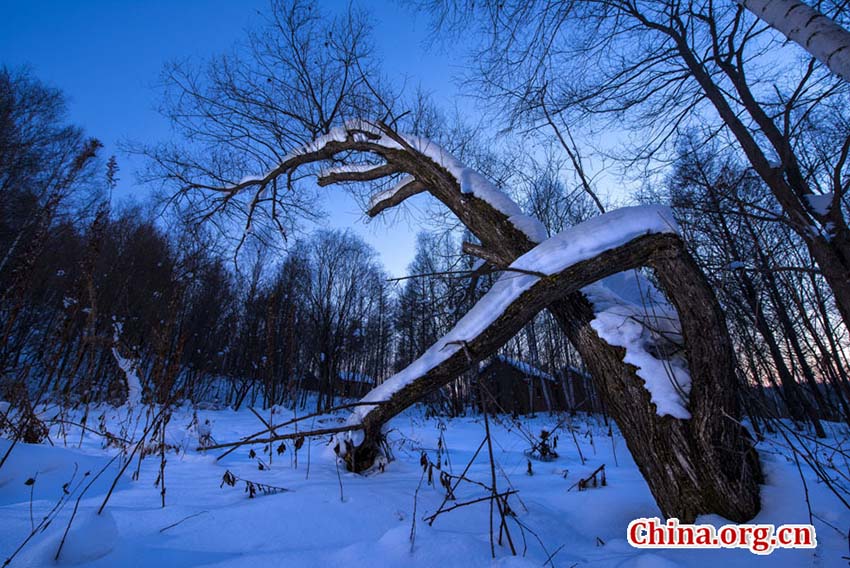Paisagem de inverno em Yichun