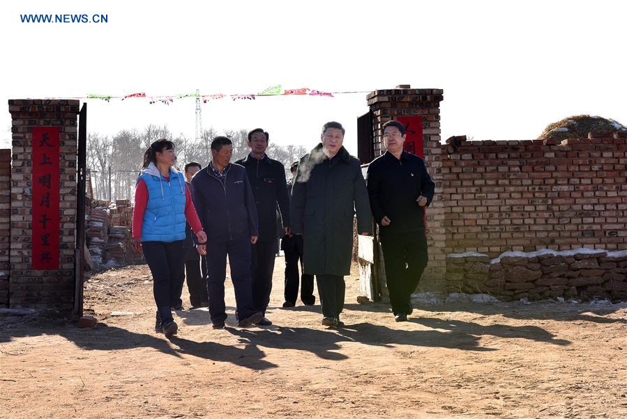 Presidente chinês enfatiza precisão no alívio da pobreza