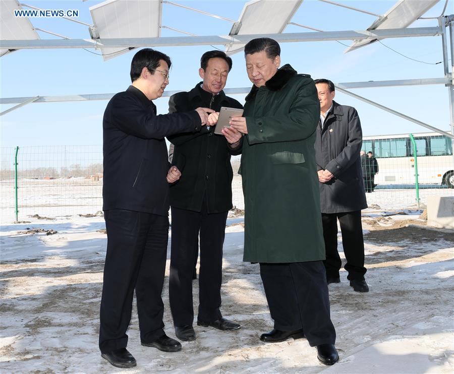 Presidente chinês enfatiza precisão no alívio da pobreza