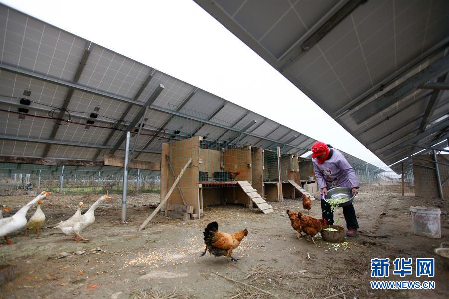 Primeira central fotovoltaica inicia operações em Shaanxi