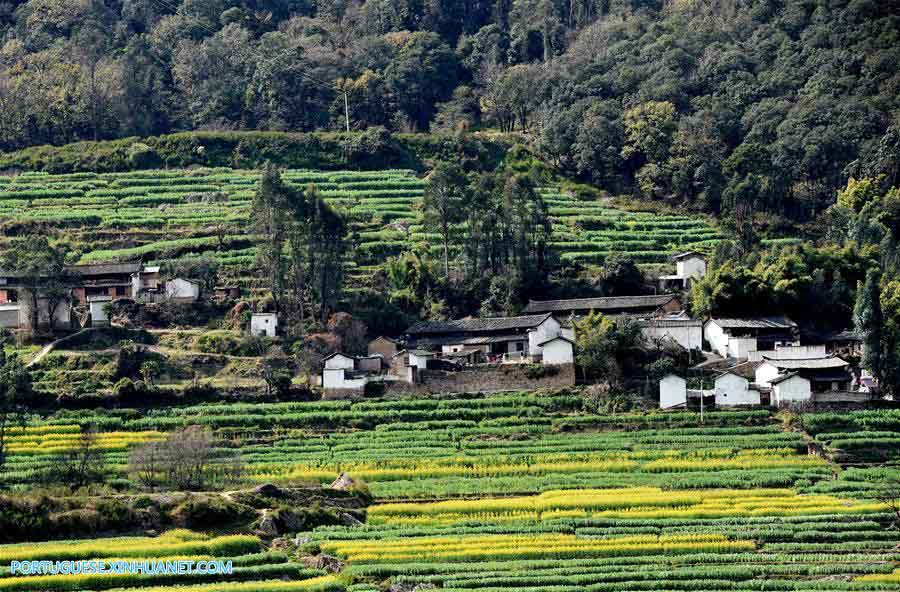 Imagens da Vila de Cuihua em Yunnan