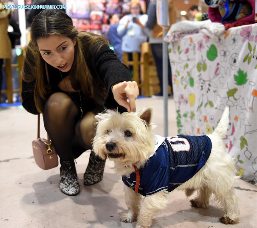 Salão de Animais de Estimação 2017 é realizado em Lisboa