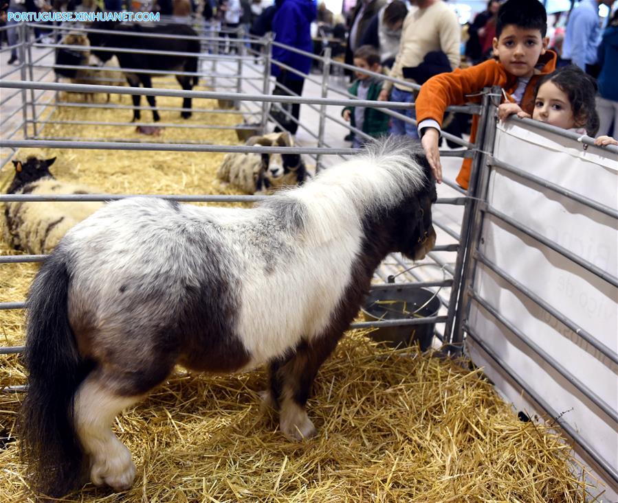 Salão de Animais de Estimação 2017 é realizado em Lisboa