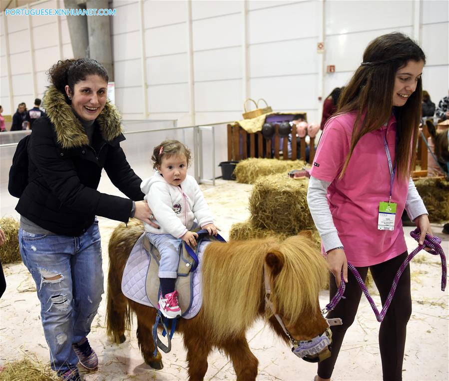 Salão de Animais de Estimação 2017 é realizado em Lisboa