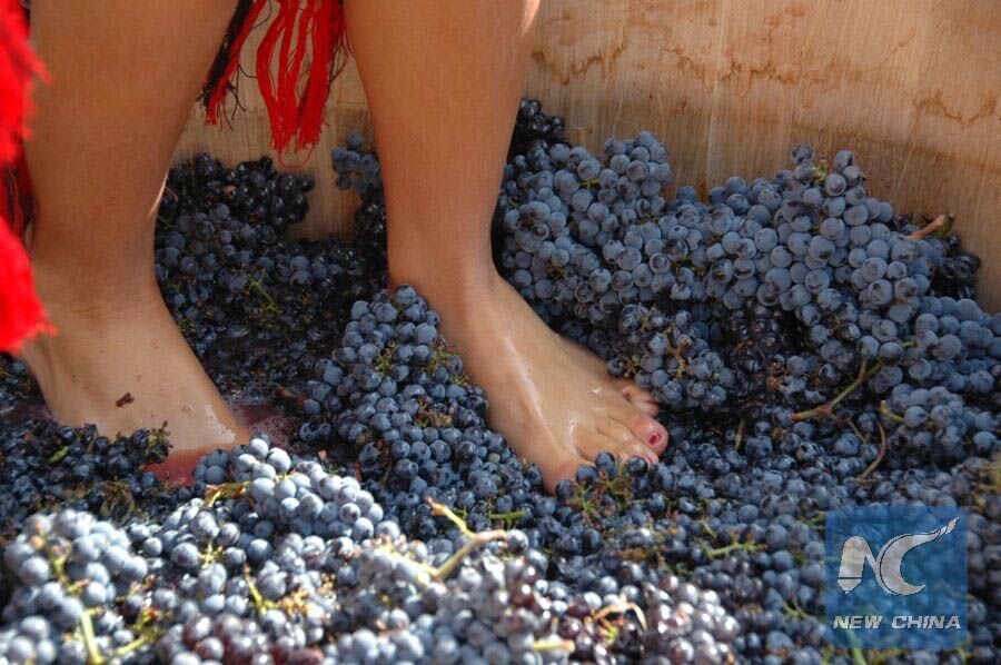 Bulgária quer aumentar exportação de vinho para a China, diz ministro