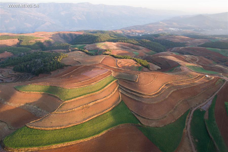 Panorama dos terraços de solo vermelho no sudoeste da China