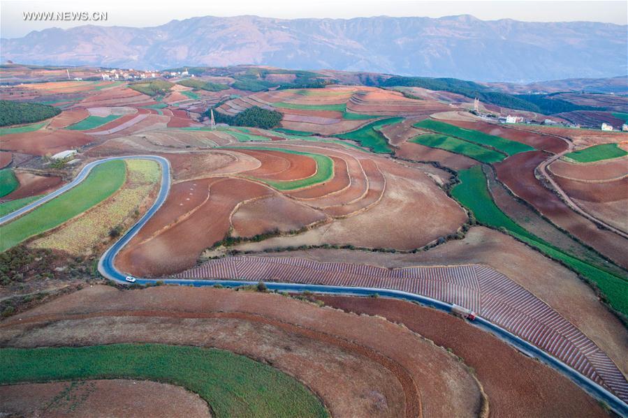 Panorama dos terraços de solo vermelho no sudoeste da China