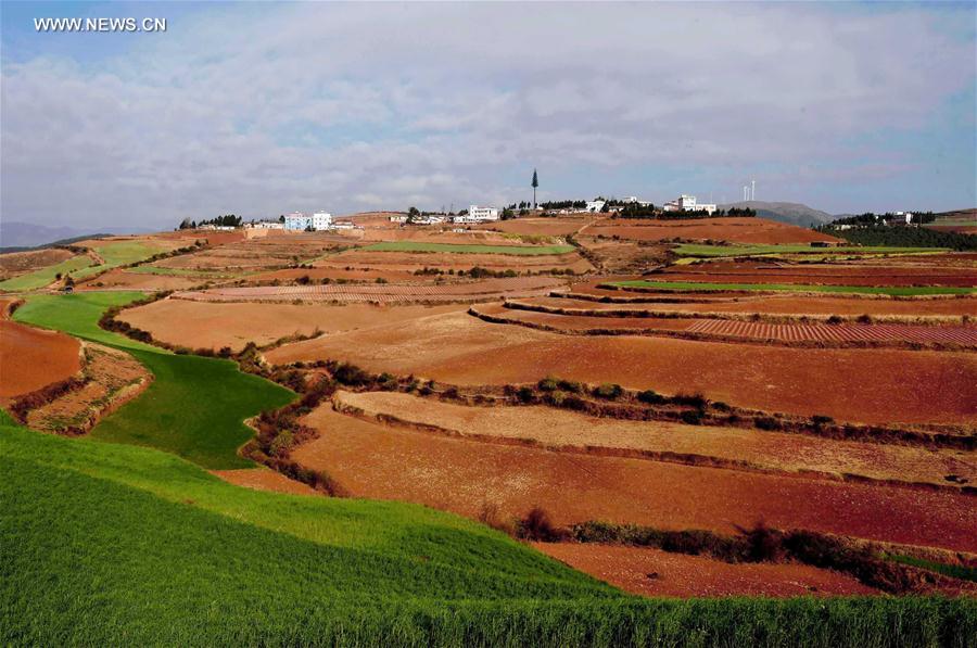 Panorama dos terraços de solo vermelho no sudoeste da China