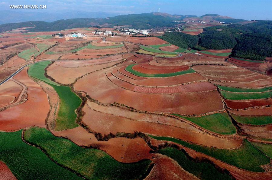 Panorama dos terraços de solo vermelho no sudoeste da China