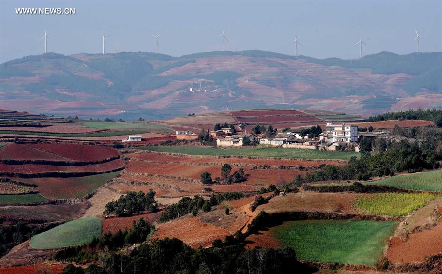 Panorama dos terraços de solo vermelho no sudoeste da China