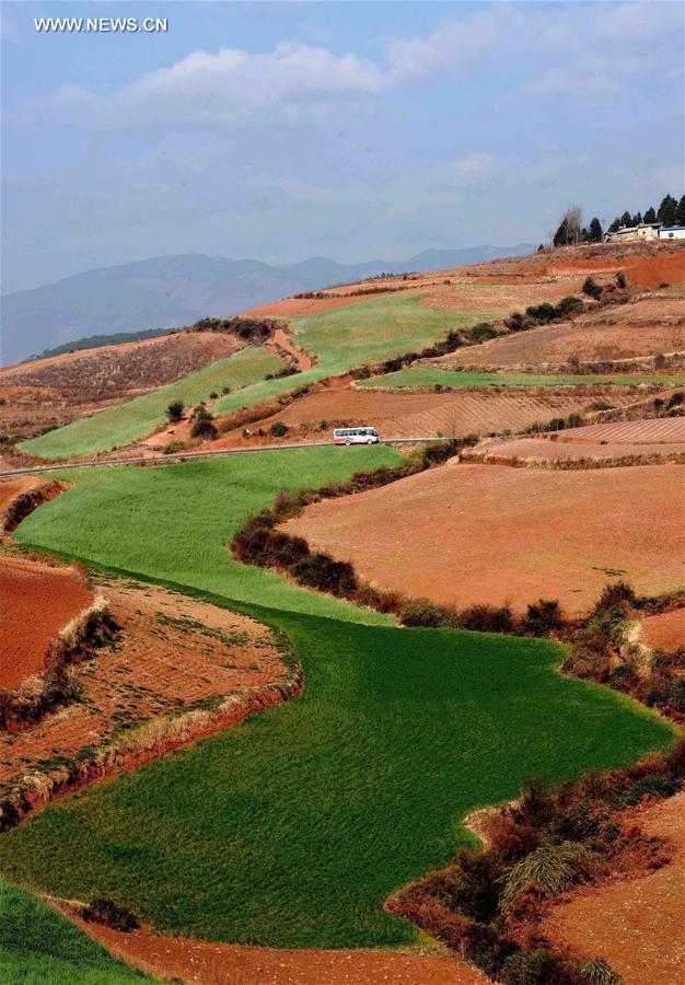 Panorama dos terraços de solo vermelho no sudoeste da China