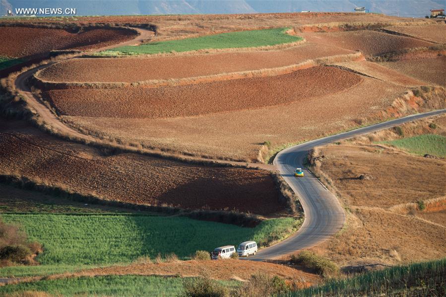 Panorama dos terraços de solo vermelho no sudoeste da China