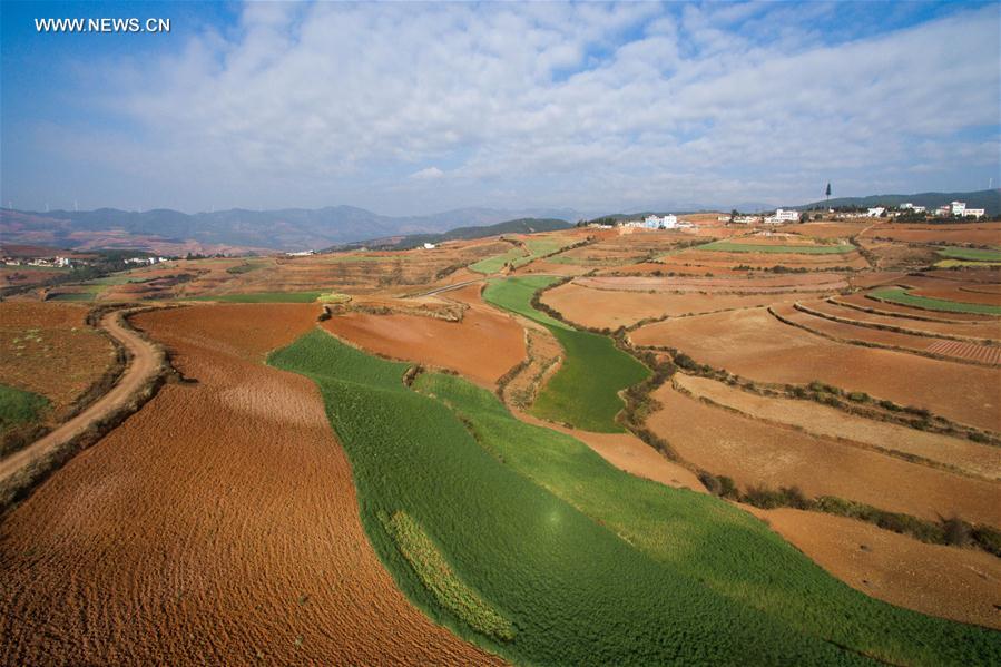 Panorama dos terraços de solo vermelho no sudoeste da China