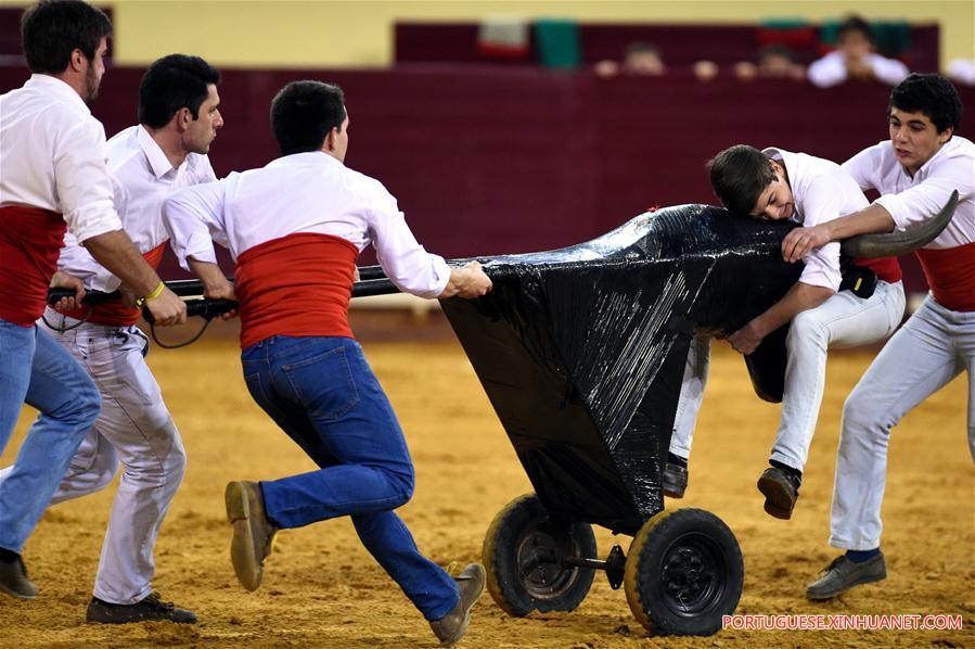 Festival de touradas é realizado em Lisboa