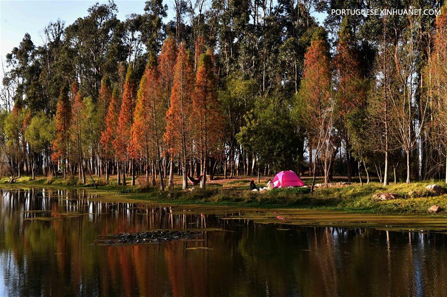 Turistam visitam parque de pantanal na área turística do Lago Dianchi em Kunming