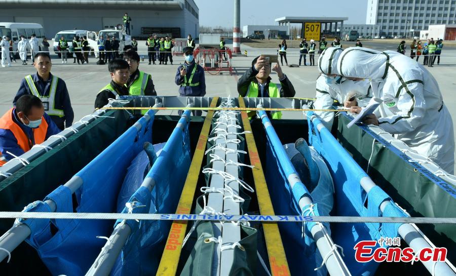 Golfinhos mudam-se para nova casa em Shijiazhuang