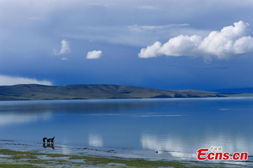 Galeria: Paisagem do Lago Manasarovar no Tibete