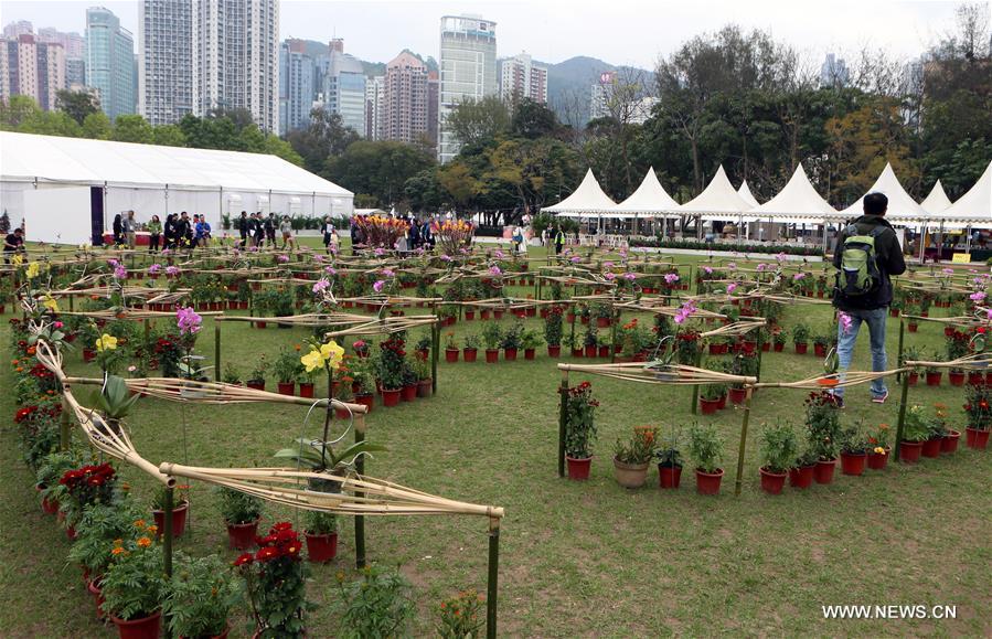 Exposição de flores realizada no Parque Vitória em Hong Kong 