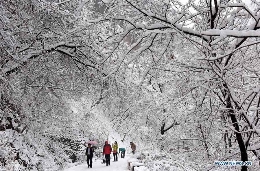 Tempestade de neve atinge oeste da China