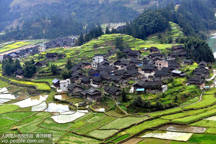 Paisagem primaveril de Guizhou