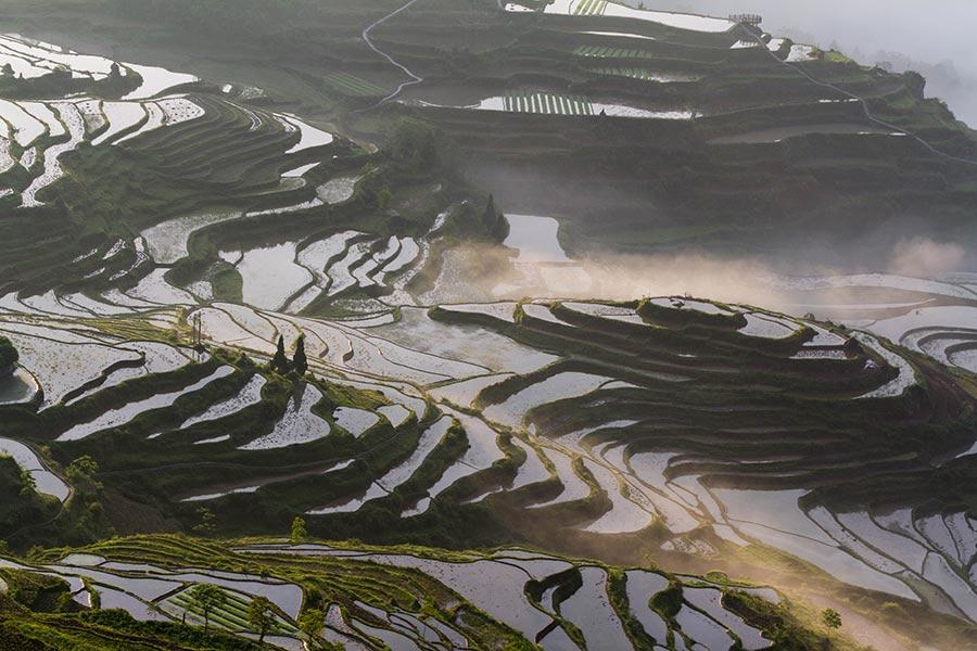 Fotografias capturam beleza natural dos socalcos de Youyang