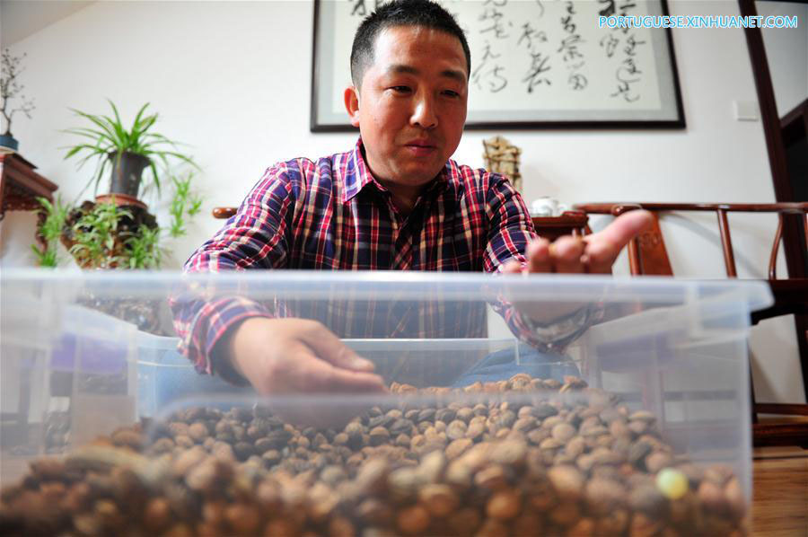 Peças esculpidas em caroços de pêssego são herança cultural de Xuancheng em Anhui