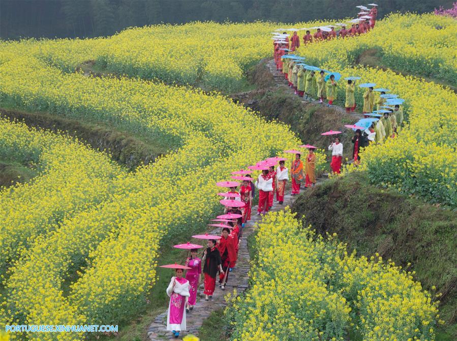 Campos de flores de canola em Zhejiang