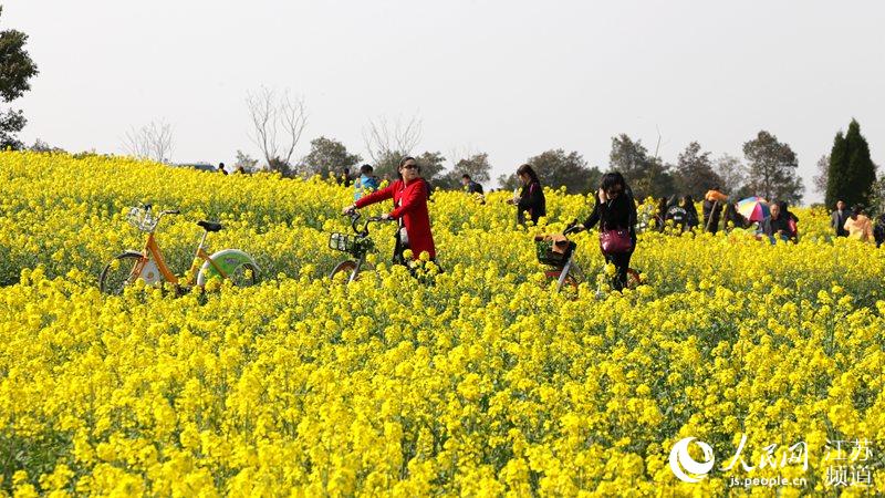 Vila chinesa promove turismo rural com “viagem ecológica”