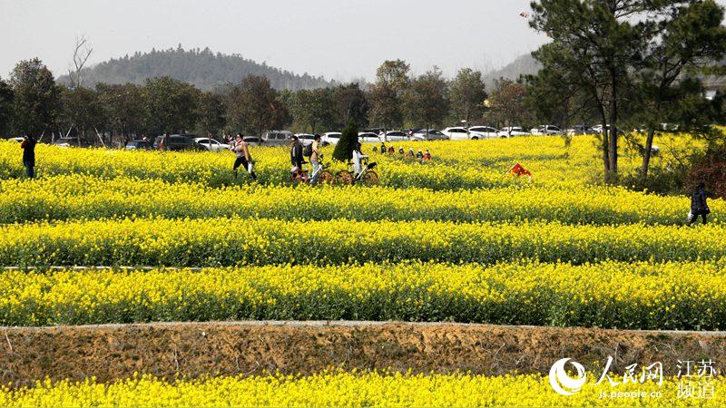 Vila chinesa promove turismo rural com “viagem ecológica”