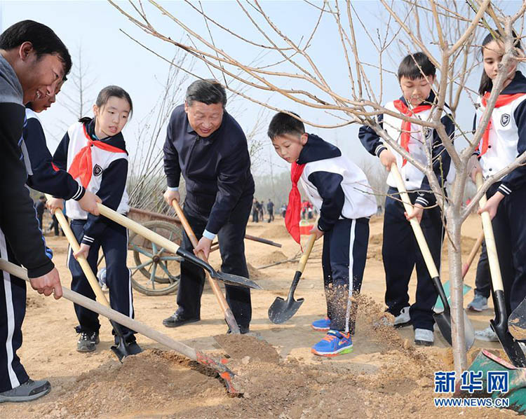Presidente chinês planta árvores e pede compreensão e proteção da natureza